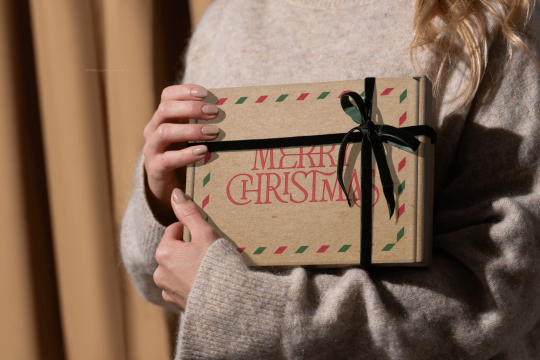  Maxibriefkartons | Briefumschlaegebestellen.de