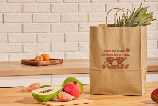  Tragetaschen aus Papier mit Kordelhenkel | Briefumschlaegebestellen.de